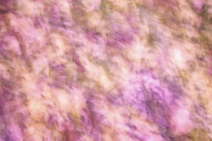 Framed Print : Soft Hues Floral Landscape Print