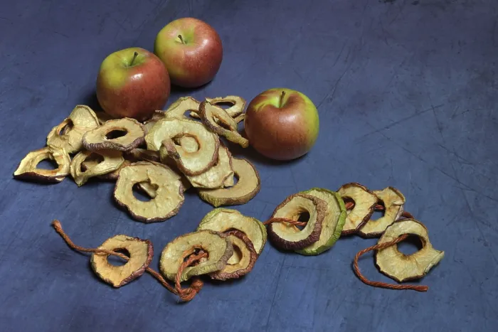 Framed Print : Dried Apple Rings on String Print, Germany