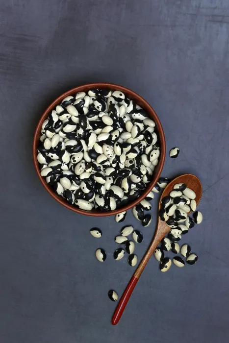 Framed Print : Dried Beans in Shell Print, Yin Yang Beans, Germany Framed Print : Dried Beans in Shell Print, Yin Yang Beans, Germany