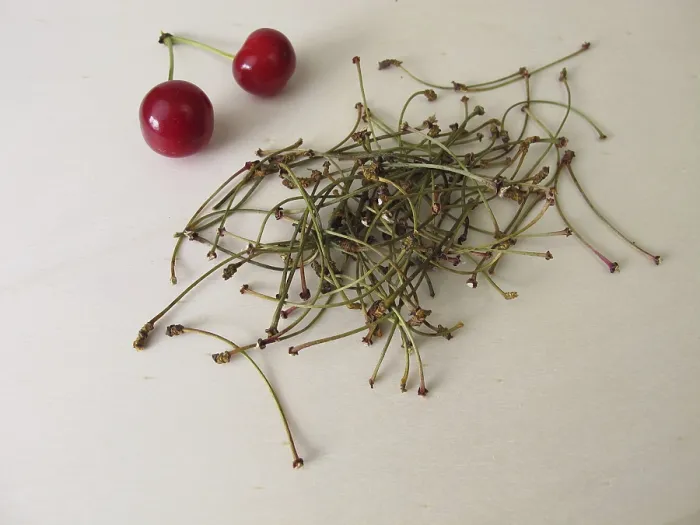 Framed Print : Dried Cherry Stems Print Framed Print : Dried Cherry Stems Print