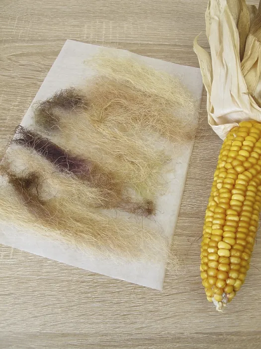 Framed Print : Dried Corn Beard, Maydis Stigma Print Framed Print : Dried Corn Beard, Maydis Stigma Print