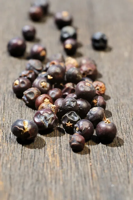 Framed Print : Dried Juniper Berries Print Framed Print : Dried Juniper Berries Print