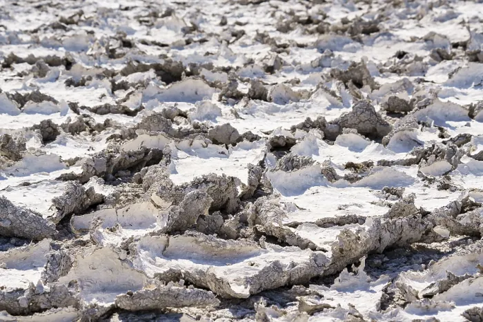 Framed Print : Dried Mud Patterns Print, Etosha National Park, Namibia Framed Print : Dried Mud Patterns Print, Etosha National Park, Namibia