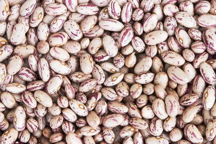 Framed Print : Dried Patterned Beans Print Framed Print : Dried Patterned Beans Print