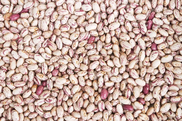 Framed Print : Dried Patterned Beans Print Framed Print : Dried Patterned Beans Print