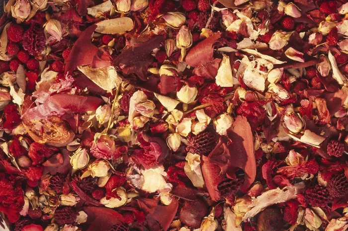 Framed Print : Dried Petals Print Framed Print : Dried Petals Print