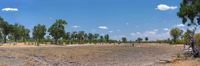 Framed Print : Dried Riverbed Landscape Print, Botswana Framed Print : Dried Riverbed Landscape Print, Botswana