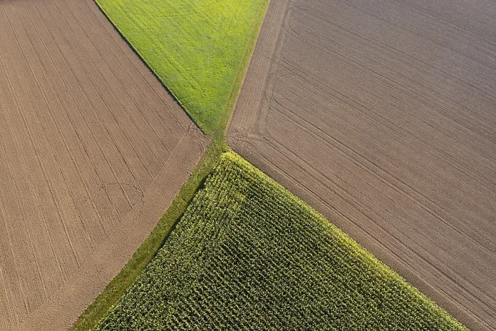 Framed Print : Aerial View of Innviertel Maize Fields Print Framed Print : Aerial View of Innviertel Maize Fields Print