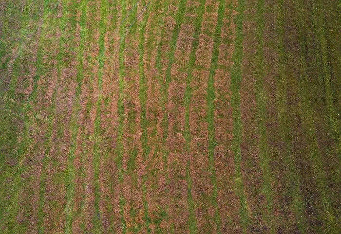 Framed Print : Drone Print of Mown Meadow in Upper Austria Framed Print : Drone Print of Mown Meadow in Upper Austria