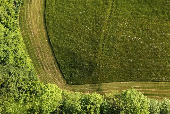 Framed Print : Aerial Print of Mown Meadow with Trees, Hausruckviertel, Austria Framed Print : Aerial Print of Mown Meadow with Trees, Hausruckviertel, Austria