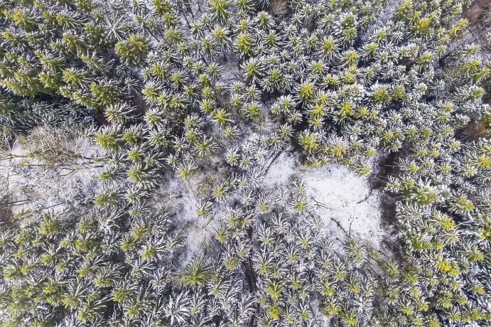 Framed Print : Drone Print of Winter in Remstal Mixed Forest Germany Framed Print : Drone Print of Winter in Remstal Mixed Forest Germany