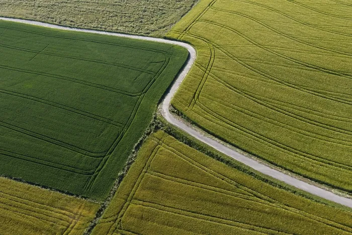 Framed Print : Drone Shot: Grain Field Path Print, Innviertel, Austria Framed Print : Drone Shot: Grain Field Path Print, Innviertel, Austria