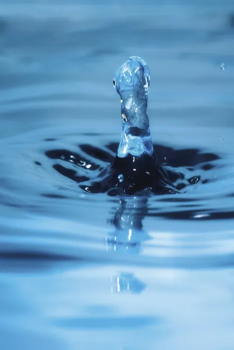 Framed Print : Drop of Water Print by ImageBROKER Framed Print : Drop of Water Print by ImageBROKER