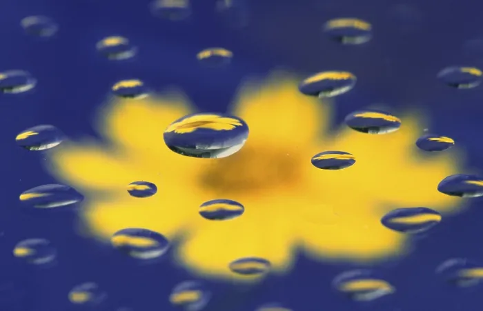 Framed Print : Drops of Water Print by imageBROKER Framed Print : Drops of Water Print by imageBROKER