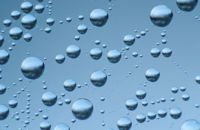 Framed Print : Drops of Water in Spider Web Print Framed Print : Drops of Water in Spider Web Print