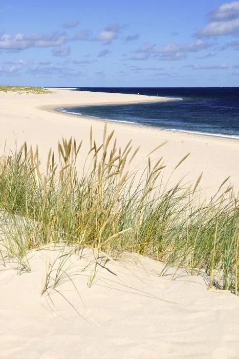 Framed Print : List Dune Landscape Print, Sylt, Germany Framed Print : List Dune Landscape Print, Sylt, Germany