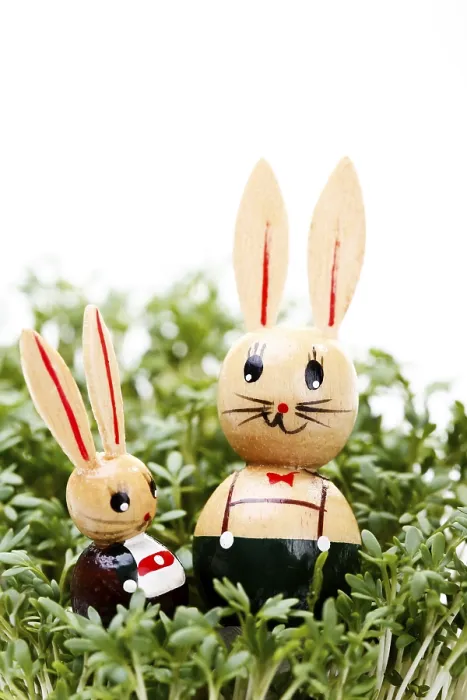 Framed Print : Easter Bunny Print Framed Print : Easter Bunny Print