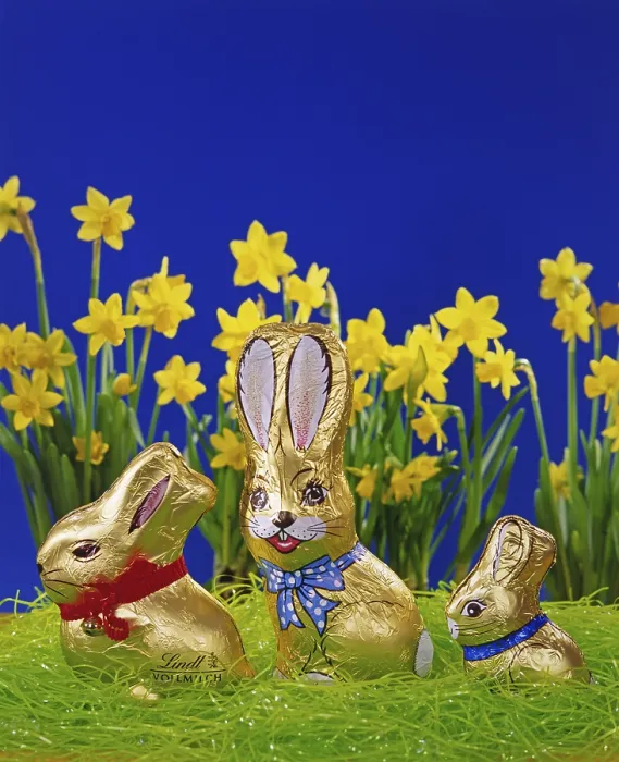 Framed Print : Chocolate Easter Bunny Print, Lower Saxony, Germany Framed Print : Chocolate Easter Bunny Print, Lower Saxony, Germany