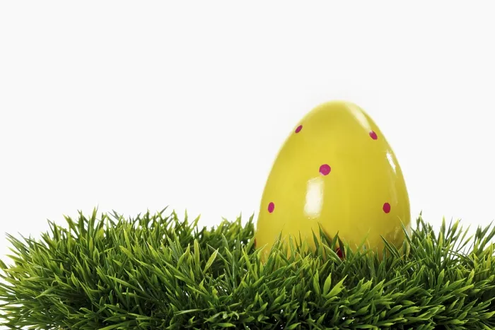 Framed Print : Easter Egg on Grass Print Framed Print : Easter Egg on Grass Print