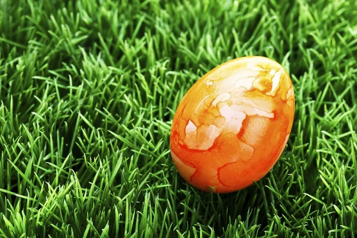 Framed Print : Easter Egg on a Lawn Print Framed Print : Easter Egg on a Lawn Print