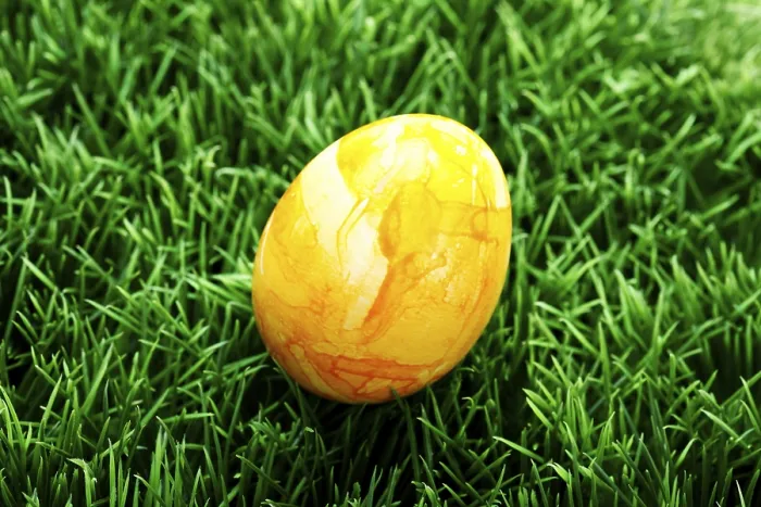 Framed Print : Easter Egg on a Lawn Print Framed Print : Easter Egg on a Lawn Print