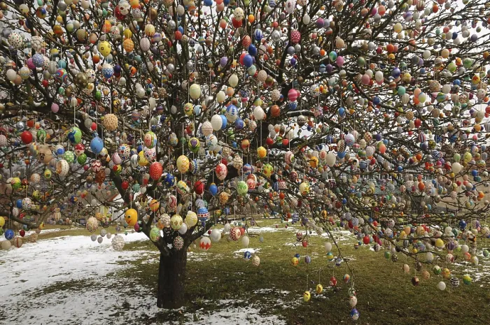 Framed Print : Easter Egg Tree Print, Germany Framed Print : Easter Egg Tree Print, Germany