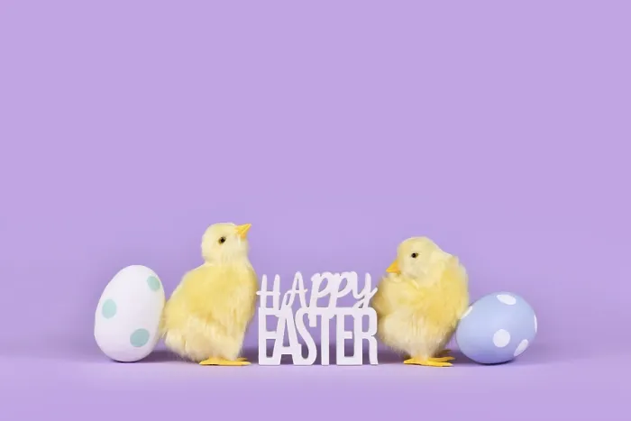 Framed Print : Easter Eggs Print on Violet Background with Copy Space Framed Print : Easter Eggs Print on Violet Background with Copy Space