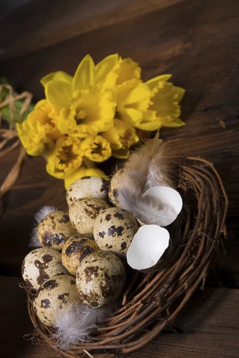 Framed Print : Easter Eggs and Daffodils Print Framed Print : Easter Eggs and Daffodils Print