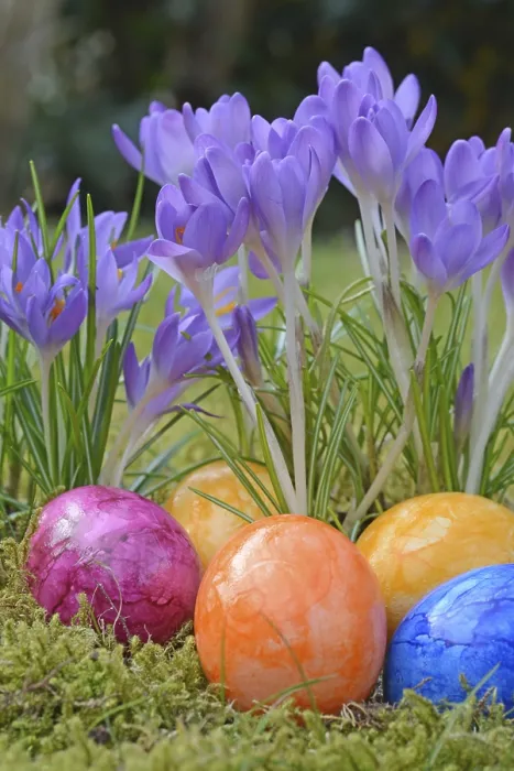 Framed Print : Traditional Easter Egg Print with Crocuses and Grass Framed Print : Traditional Easter Egg Print with Crocuses and Grass
