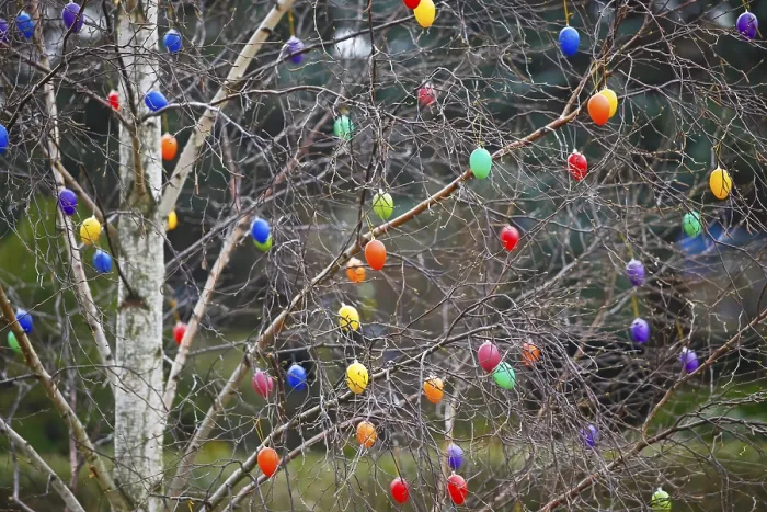 Framed Print : Dresden Saxony Easter Eggs on Tree Print Framed Print : Dresden Saxony Easter Eggs on Tree Print