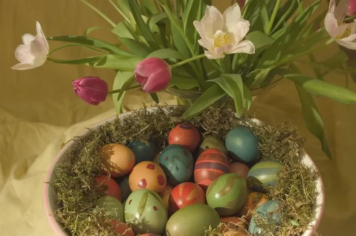 Framed Print : Easter Nest Print Framed Print : Easter Nest Print