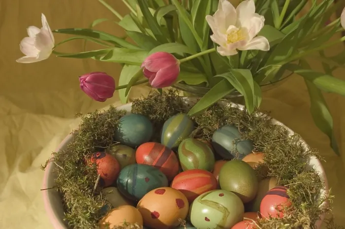 Framed Print : Easter Nest Print Framed Print : Easter Nest Print