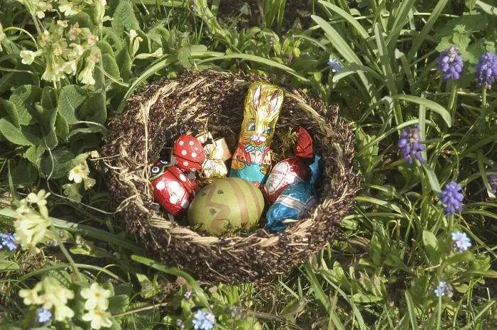 Framed Print : Easter Nest Print Framed Print : Easter Nest Print
