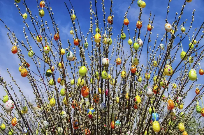 Framed Print : Easter Shrub Willow Print Framed Print : Easter Shrub Willow Print