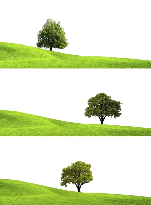Framed Print : Eco Green Print from imageBROKER Framed Print : Eco Green Print from imageBROKER