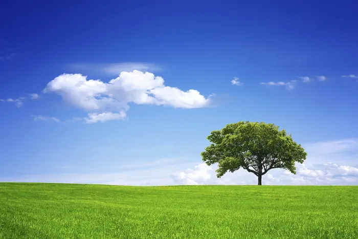 Framed Print : Eco Planet Print - Earthly Landscape Framed Print : Eco Planet Print - Earthly Landscape
