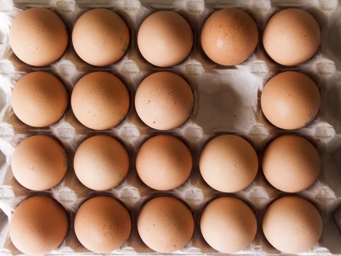 Framed Print : Egg Carton Print: Empty Slot Framed Print : Egg Carton Print: Empty Slot