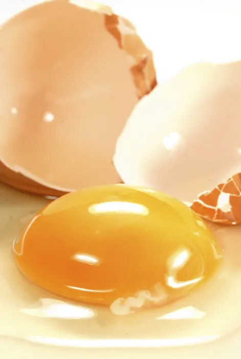 Framed Print : Egg Yolk Print Framed Print : Egg Yolk Print