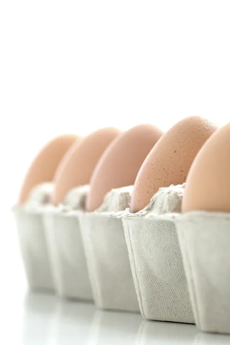 Framed Print : Eggs in a Carton Print Framed Print : Eggs in a Carton Print