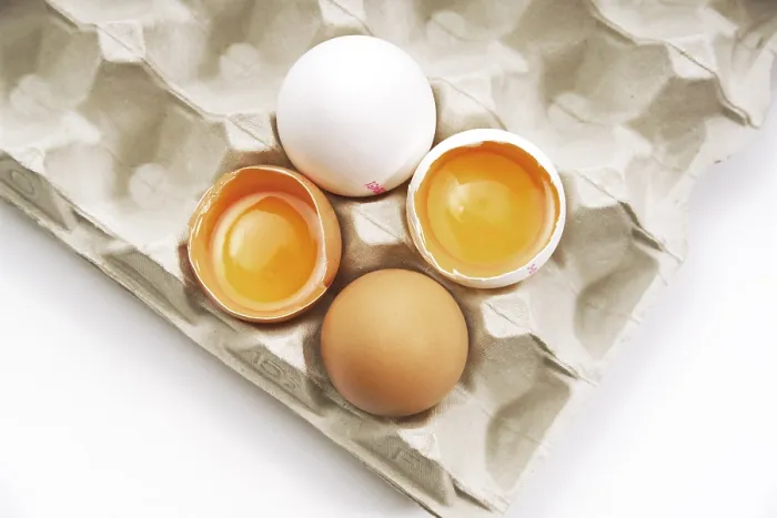 Framed Print : Eggs in a Carton Print Framed Print : Eggs in a Carton Print