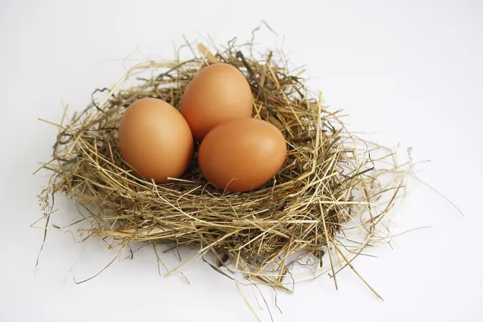 Framed Print : Three Eggs in a Nest Easter Print Framed Print : Three Eggs in a Nest Easter Print