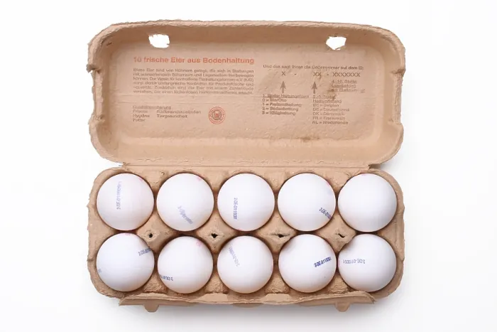 Framed Print : Ten Eggs in an Open Carton Print Framed Print : Ten Eggs in an Open Carton Print