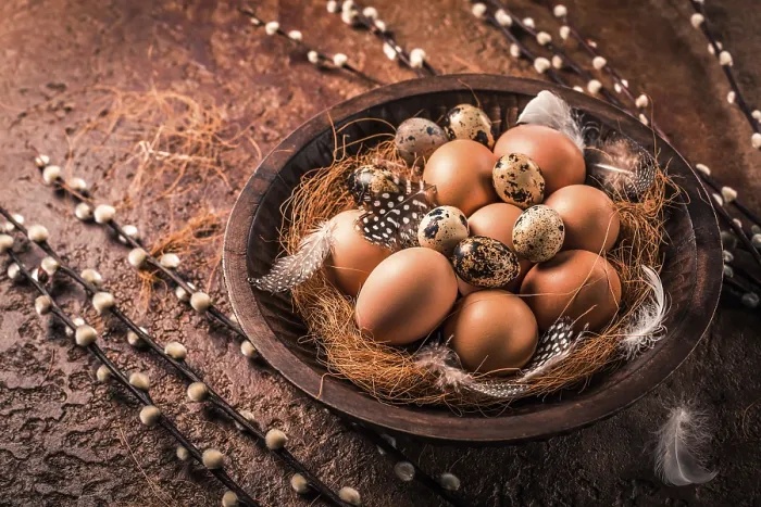 Framed Print : Easter Eggs with Pussy Willow Print