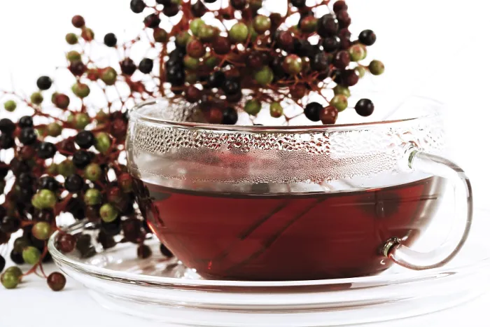 Framed Print : Elder Tea and Elderberries Print Framed Print : Elder Tea and Elderberries Print