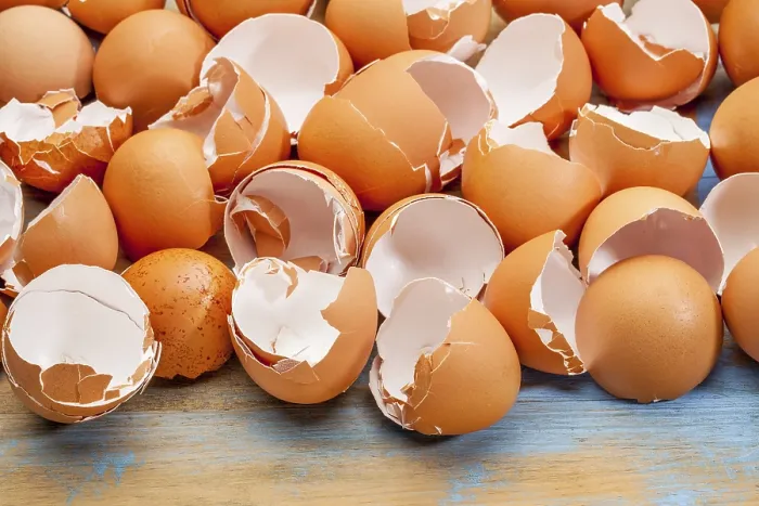 Framed Print : Empty, Broken Eggshells Print on Wood Framed Print : Empty, Broken Eggshells Print on Wood