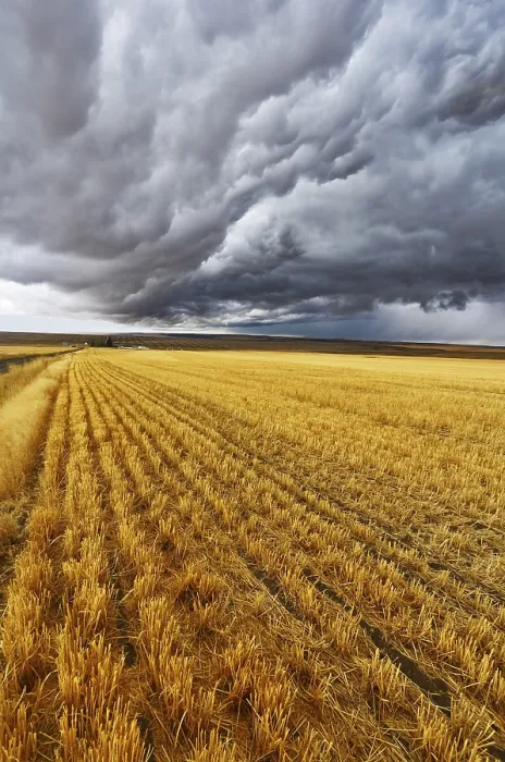 Framed Print : Enormous Thundercloud Print over Montana Fields