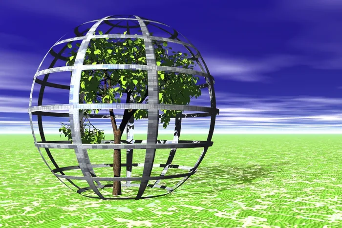 Framed Print : Environmental Protection Print: Tree in Protective Cage Framed Print : Environmental Protection Print: Tree in Protective Cage