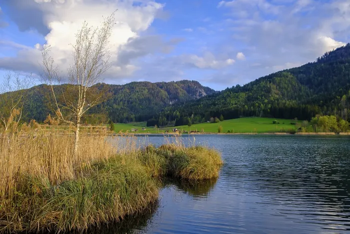 Framed Print : Evening atmosphere at Weiensee, Carinthia, Austria Print Framed Print : Evening atmosphere at Weiensee, Carinthia, Austria Print