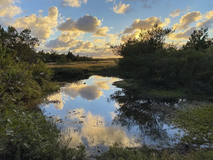 Framed Print : Evening Clouds Reflected in a Small Lake Print Framed Print : Evening Clouds Reflected in a Small Lake Print