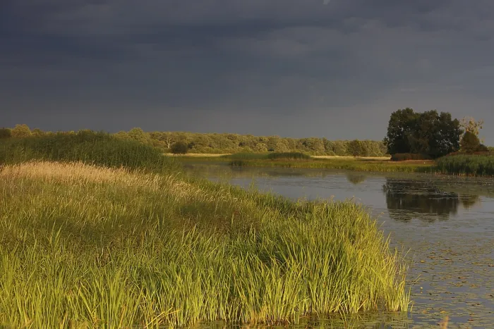Framed Print : Evening Mood Print, Middle Elbe Biosphere Reserve, Germany Framed Print : Evening Mood Print, Middle Elbe Biosphere Reserve, Germany